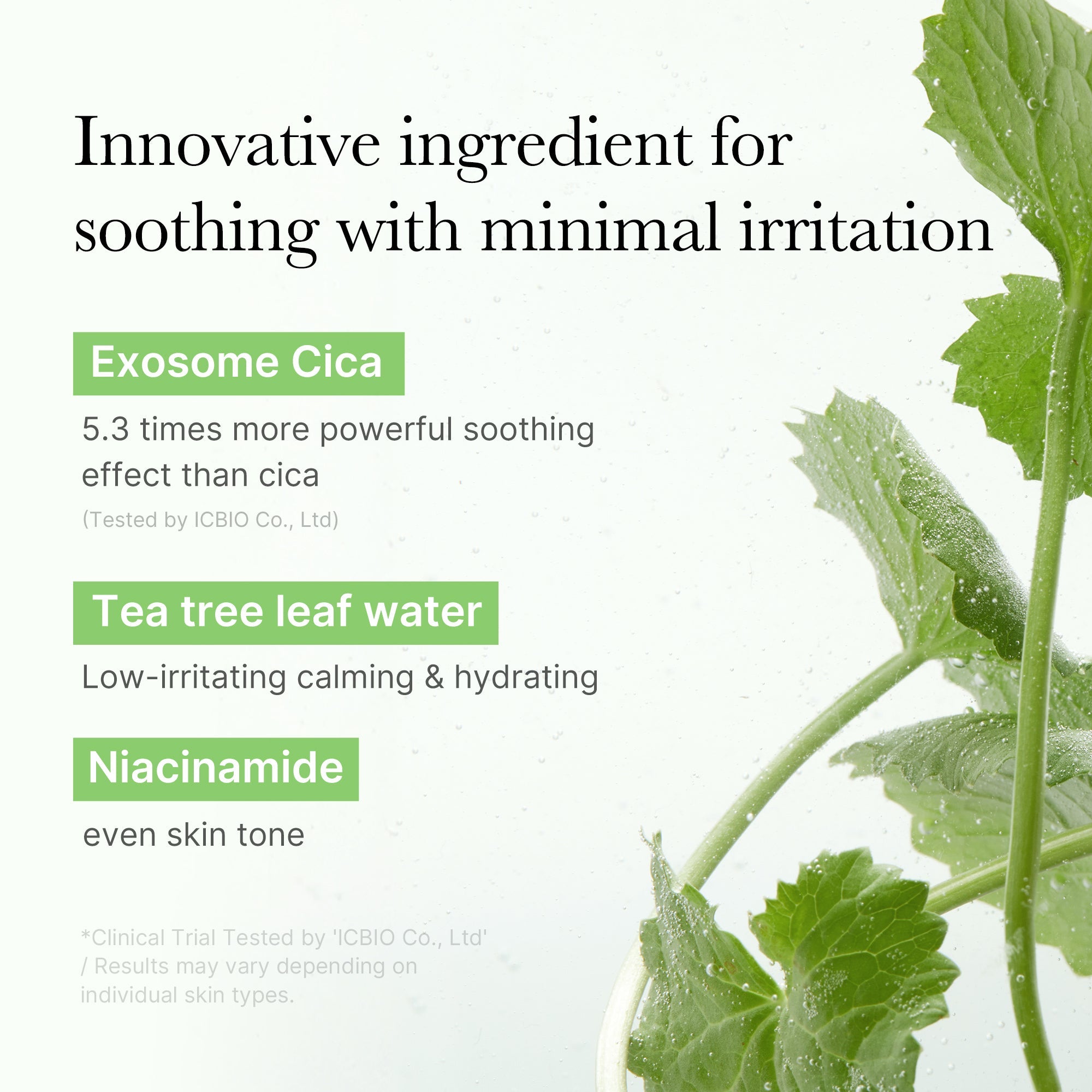 Exosome Cica Calming Toner Pads - Clean Pore Care